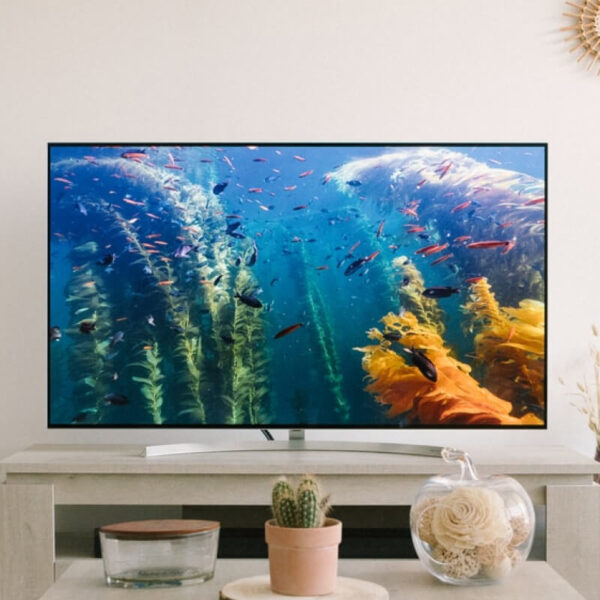OLED C1 Series 55” 4k Smart TV (3840 x 2160), 120Hz Refresh Rate, AI-Powered 4K, Dolby Cinema, WiSA Ready, Gaming Mode - Ảnh 2